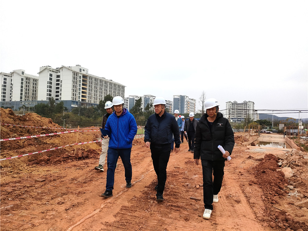 南寧市住房和城鄉建設局副局長吳智到大派河河道改道整治工程現場檢查指導工作